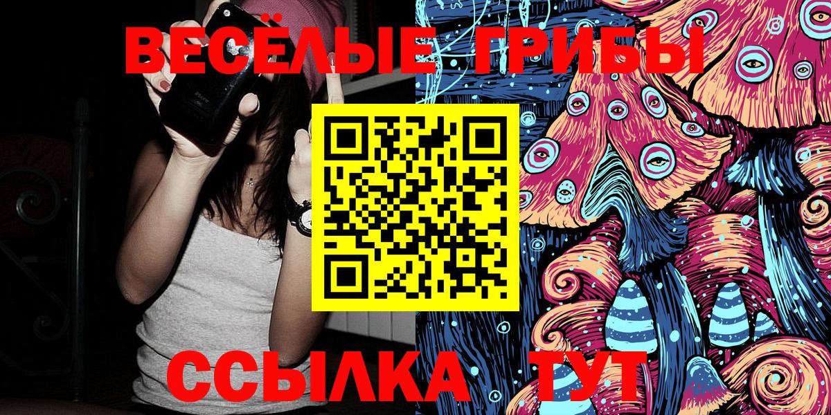 Псилоцибиновые грибы MAGIC MUSHROOMS  Вход с VPN  Псилоцибиновые грибы прущие грибы  Елабуга 